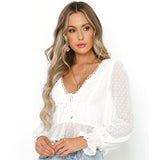 Women Lace Trimmed Neckline Long Sleeve Chiffon