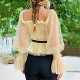 Mesh Lantern Sleeve High Waist Pleated Chiffon